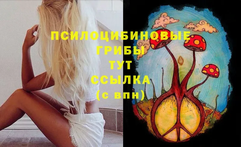 Галлюциногенные грибы MAGIC MUSHROOMS  Муром 